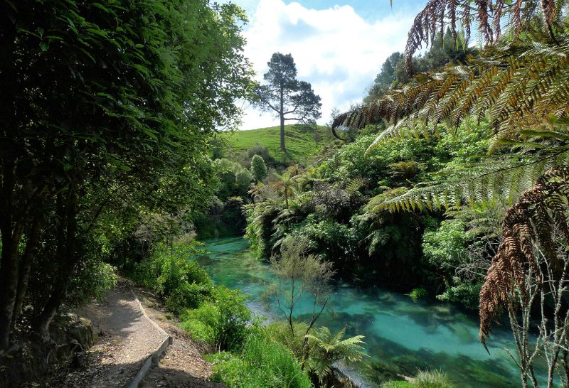 B (67) Te Waihou walkway.jpg